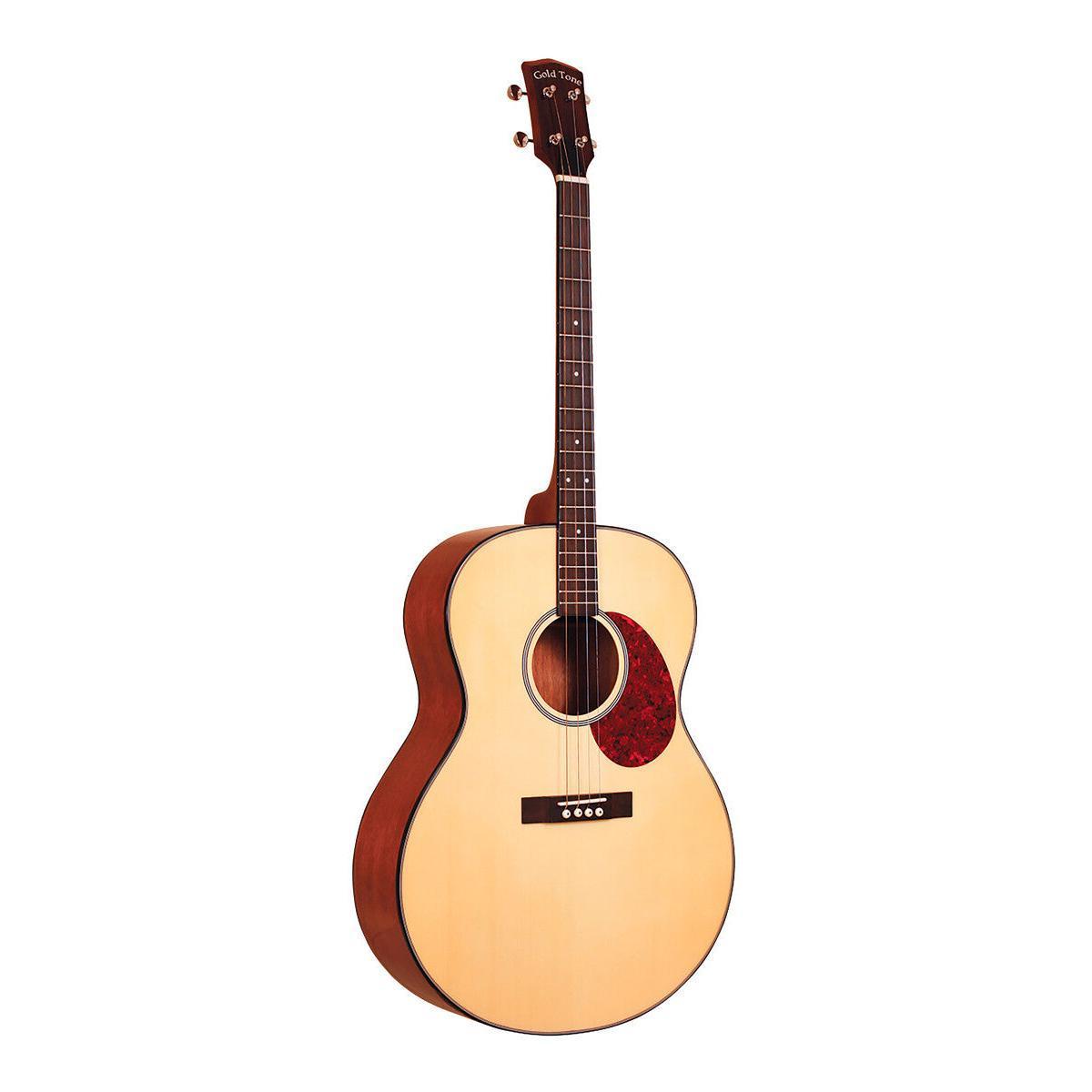 GOLD TONE TG-10 Tenorguitar – 4-strenget akustisk | Inkl. taske