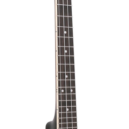 Gold Tone BUT 4-string tenor banjo-ukulele with case