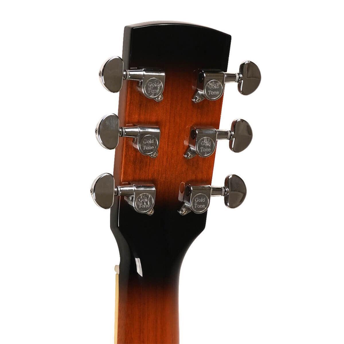 Gold Tone PBR Paul Beard signature resophonic guitar