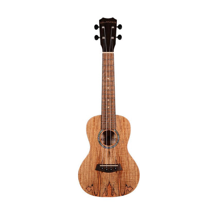 Islander MAC-4 Traditional concert ukulele with spalted maple top