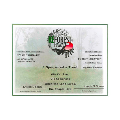 Islander PAT-BOX Traditionell mahogny konsert ukulele "reforest Hawai" MCB-4 + tillbaka