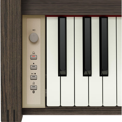 KIYOLA KF-25 Digital piano (Smoked Oak)