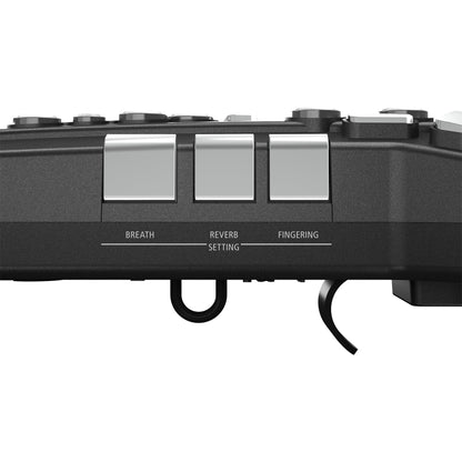 Roland AE-05 Aerophone GO