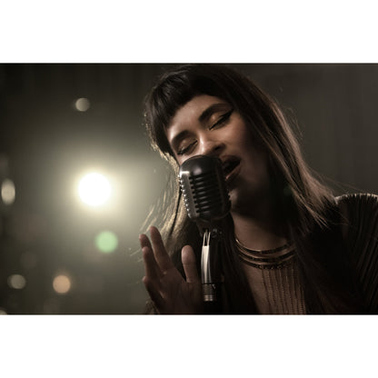 Shure 55SH-II Vokalmikrofon