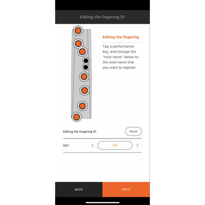 Roland AE-01 Aerophone Mini