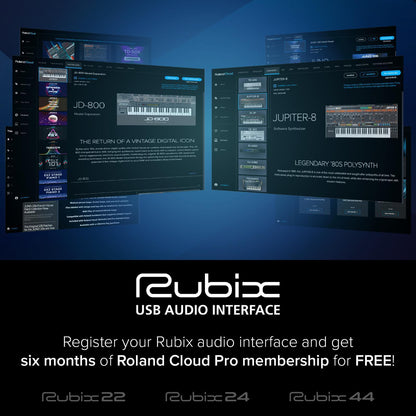 Roland Rubix 22 USB Audio Interface
