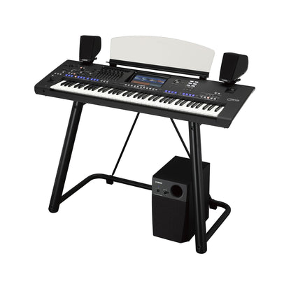 Yamaha GNS-MS01 Yamaha Option Speaker