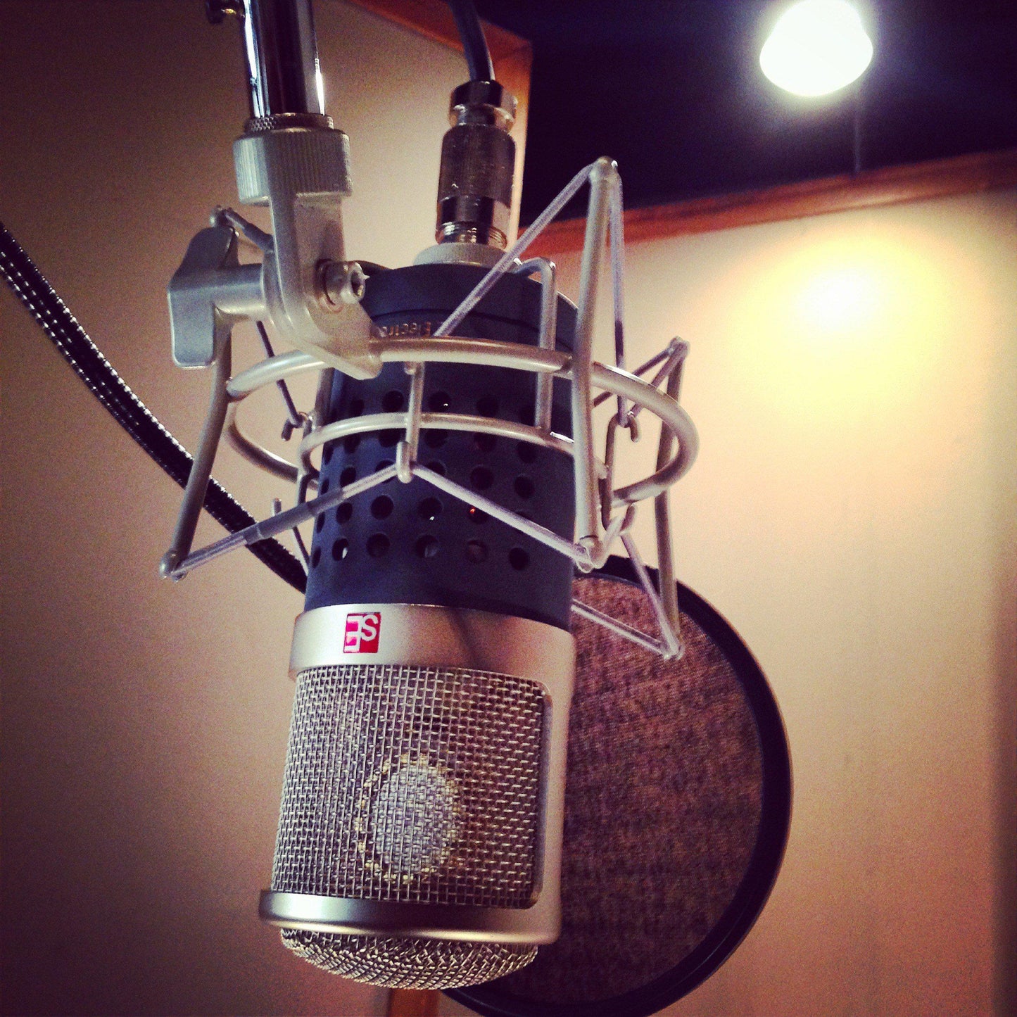 sE Electronics Gemini II rør mikrofon